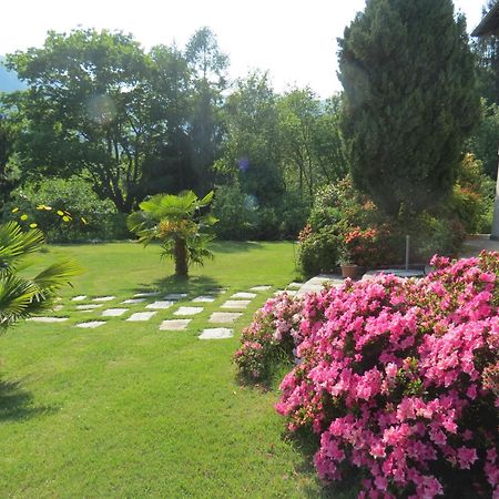 Villa Morissolina Trarego Exterior foto